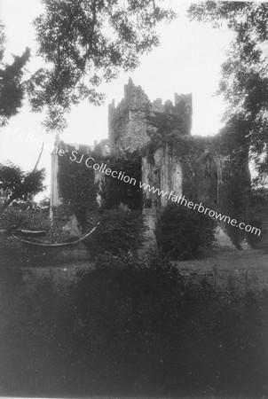 TINTERN ABBEY FROM S.E.